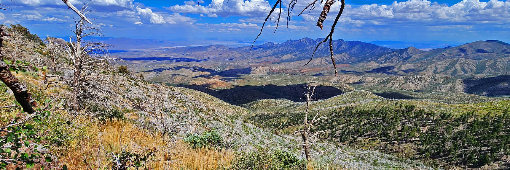 Expanding Kyle Canyon View During Ridgeline Approach. La Madre Mts. in Distance | Harris Mountain Triangle | Mt Charleston Wilderness, Nevada