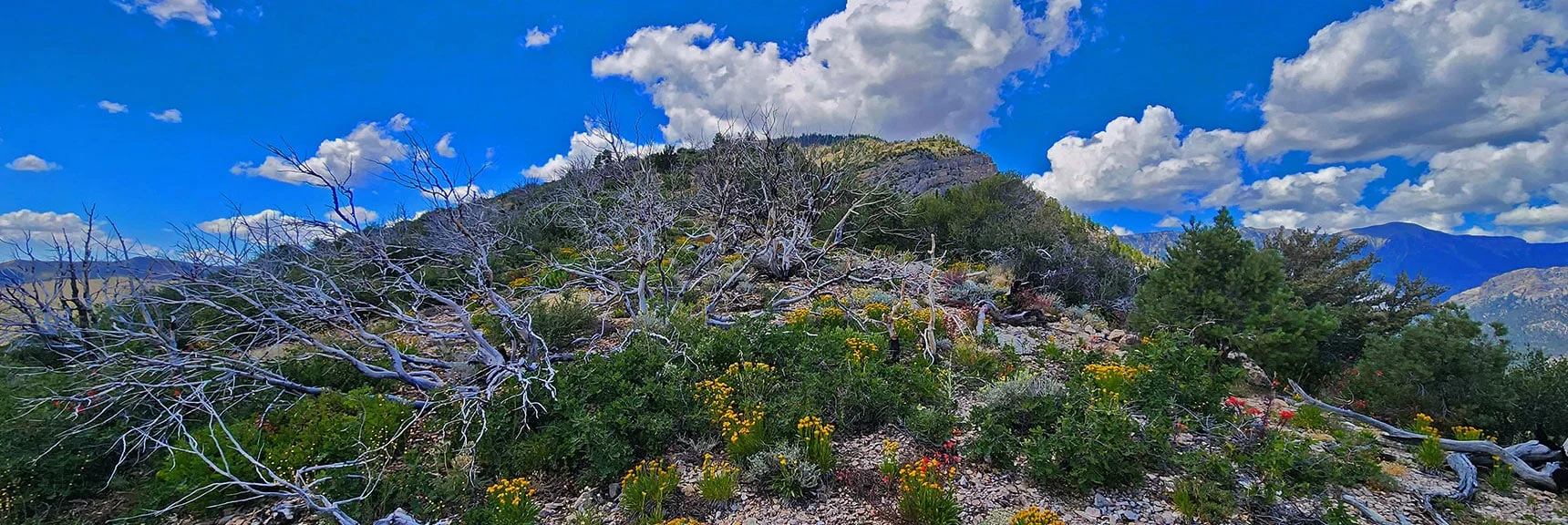 Ascending Initial High Points at Base of Eastern Approach Ridge | Harris Mountain Triangle | Mt Charleston Wilderness, Nevada