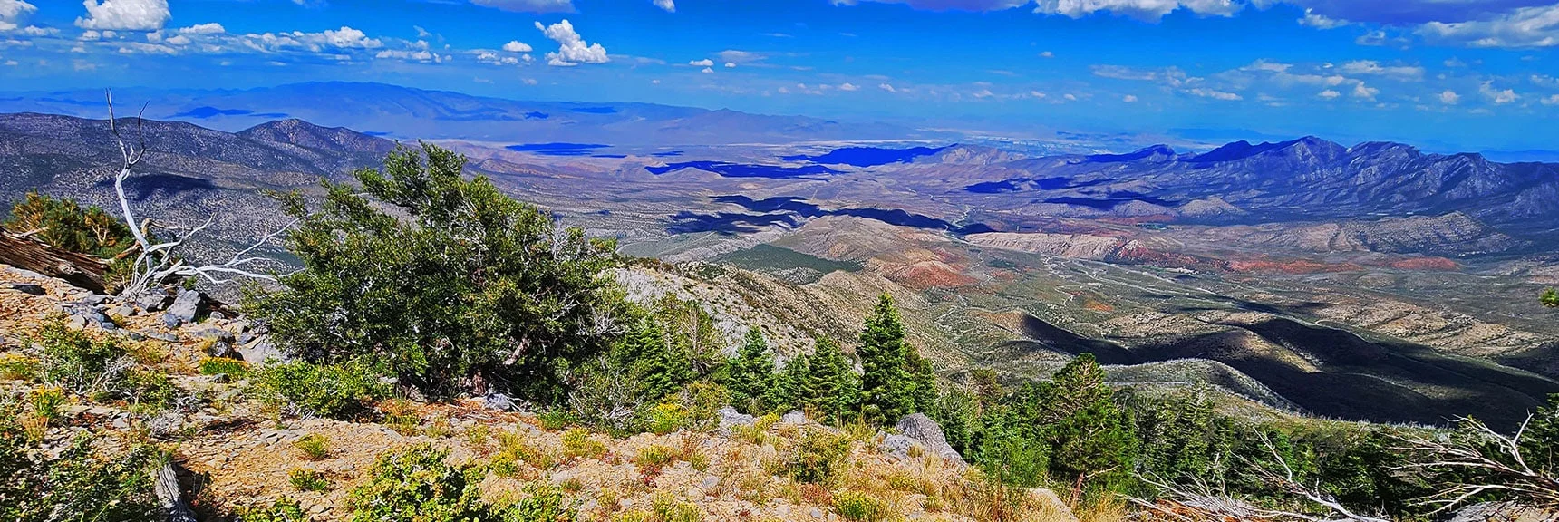View Down Kyle Canyon. Harris Springs Road Area | Harris Mountain Triangle | Mt Charleston Wilderness, Nevada