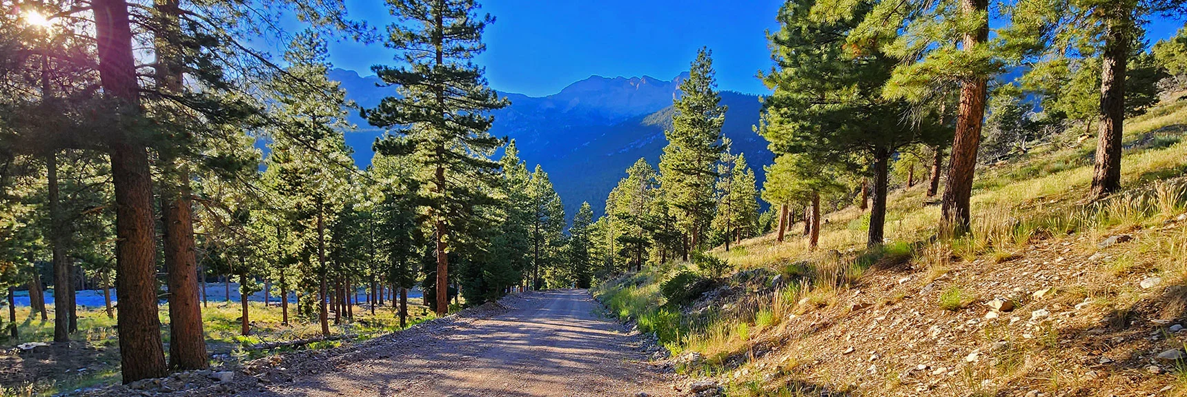 Prior Image: Take Rainbow Ridge Rd. to Ridgeline Base, Round Base on Forrest Rd. 579 | Harris Mountain Triangle | Mt Charleston Wilderness, Nevada