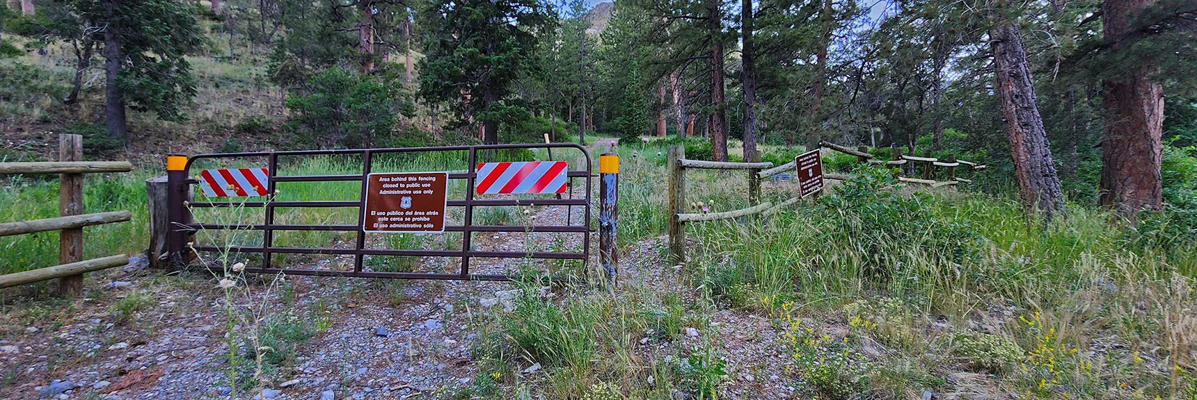 Prior Image: Just Passed Through Gate, Turned Onto Acastus Trail | Harris Mountain Triangle | Mt Charleston Wilderness, Nevada