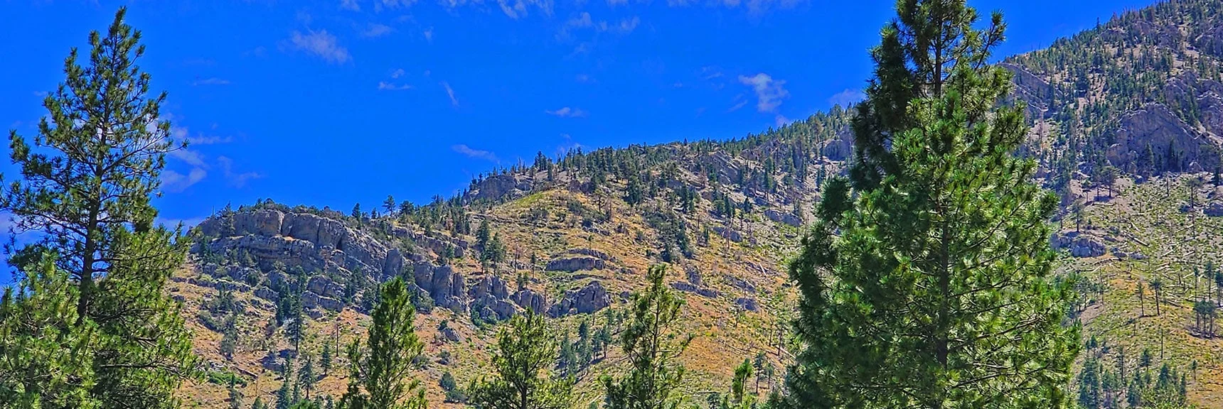 Lower Access Point to Short Eastern Approach Ridge | Harris Mountain Triangle | Mt Charleston Wilderness, Nevada