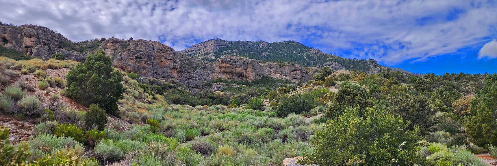 Short Eastern Approach Ridge Above Escarpment | Harris Mountain Triangle | Mt Charleston Wilderness, Nevada