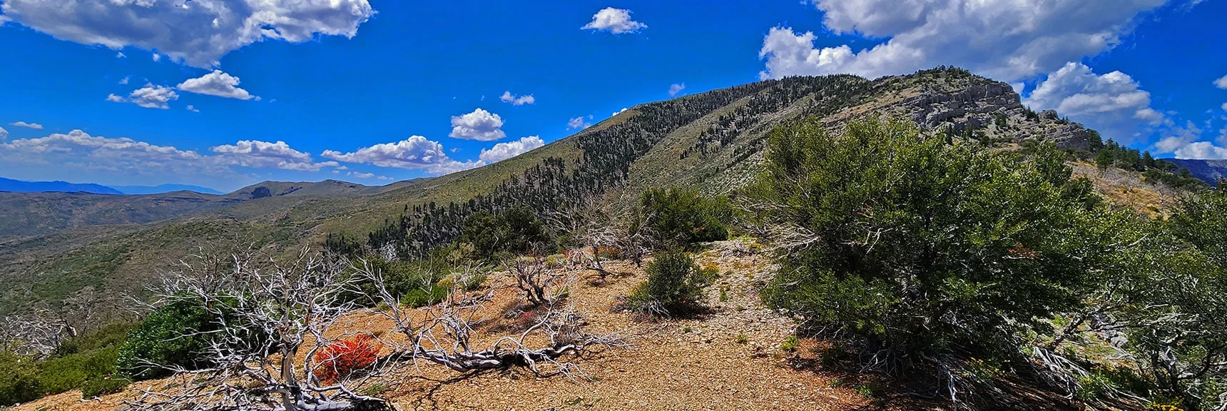 Summit of 2nd High Point. Navigate to Left Below Cliff Line Ahead | Harris Mountain Triangle | Mt Charleston Wilderness, Nevada