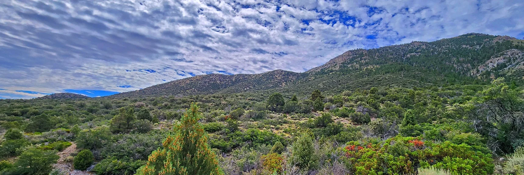 Long Eastern Approach Ridge from Above Escarpment | Harris Mountain Triangle | Mt Charleston Wilderness, Nevada