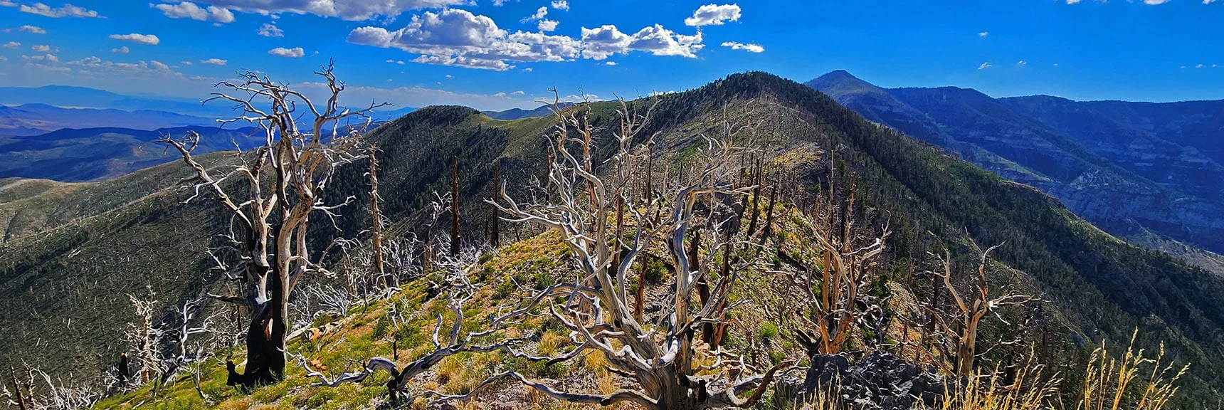 Arrival on Harris Mt. False Summit. True Summit Ahead. | Harris Mountain Triangle | Mt Charleston Wilderness, Nevada