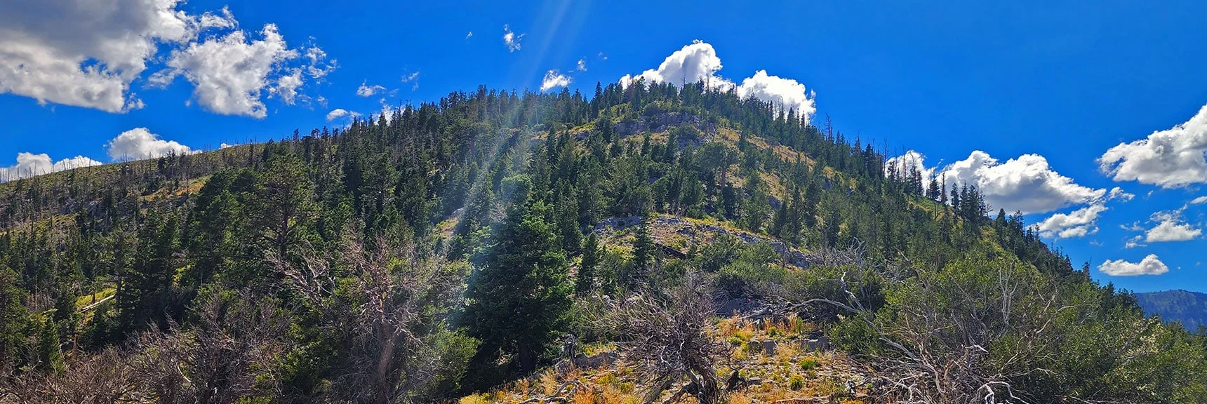 Next High Points on Ridgeline. Harris Mt. False Summit at Highest Point. | Harris Mountain Triangle | Mt Charleston Wilderness, Nevada