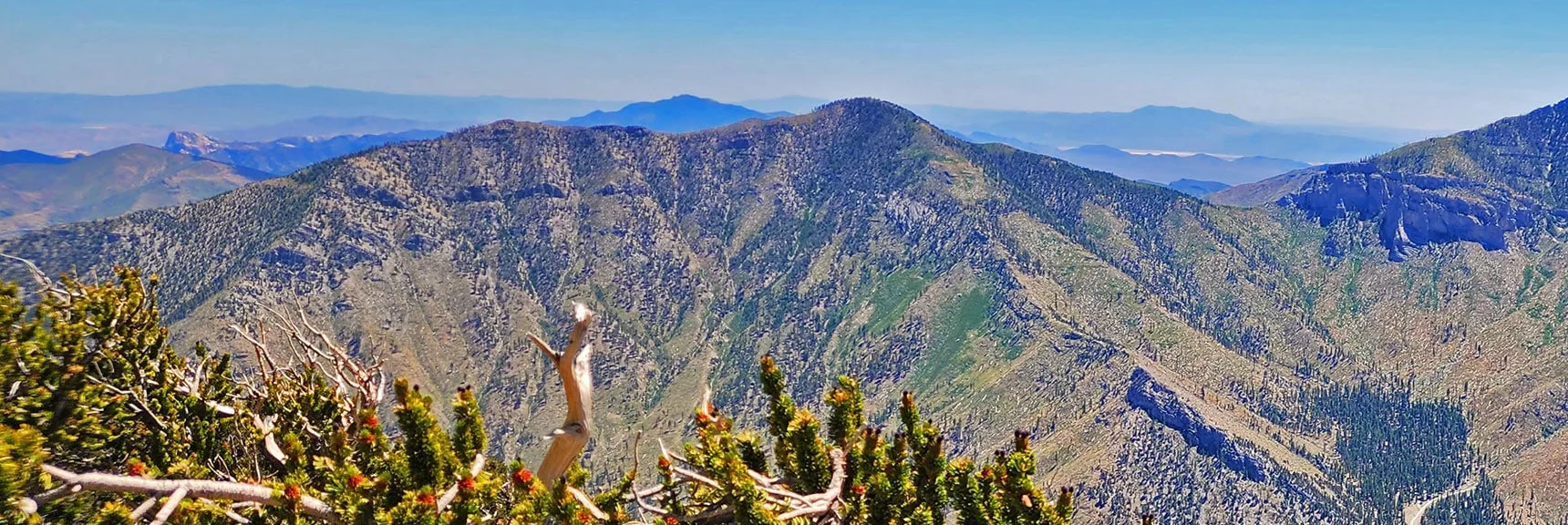 Harris Mountain Triangle Viewed from Fletcher Peak Across Kyle Canyon | Harris Mountain Triangle | Mt Charleston Wilderness, Nevada