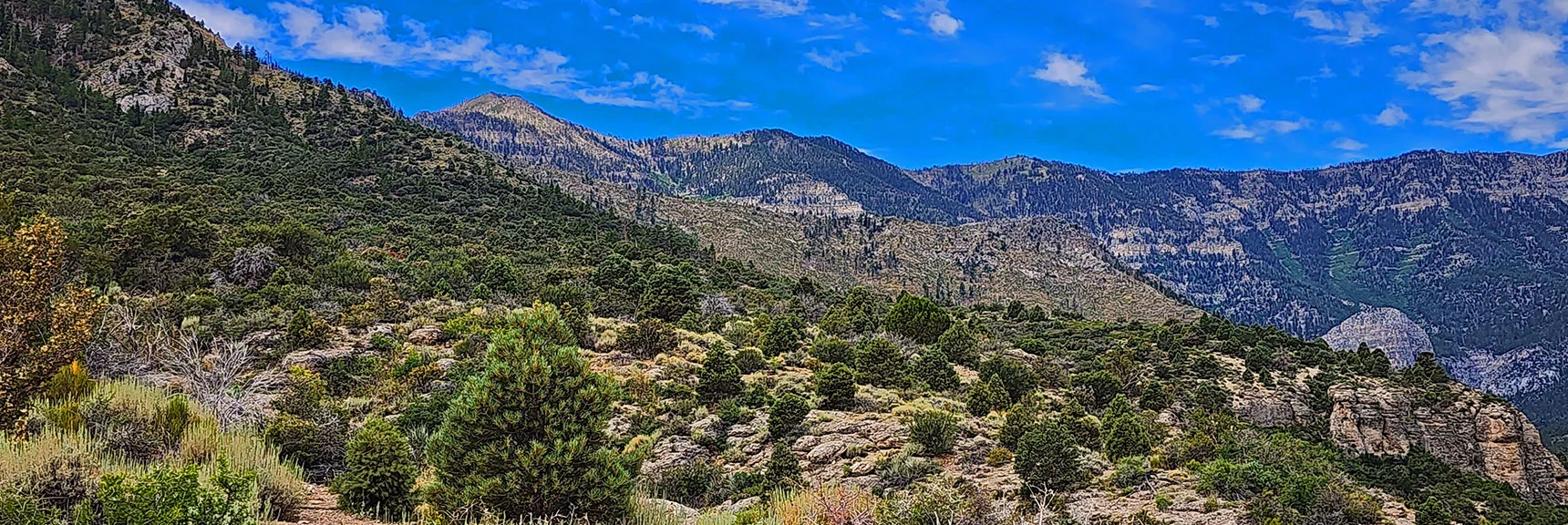 Eastern & Western Approach Ridges. Griffith Peak & Kyle Canyon North Rim in Background Above | Harris Mountain Triangle | Mt Charleston Wilderness, Nevada