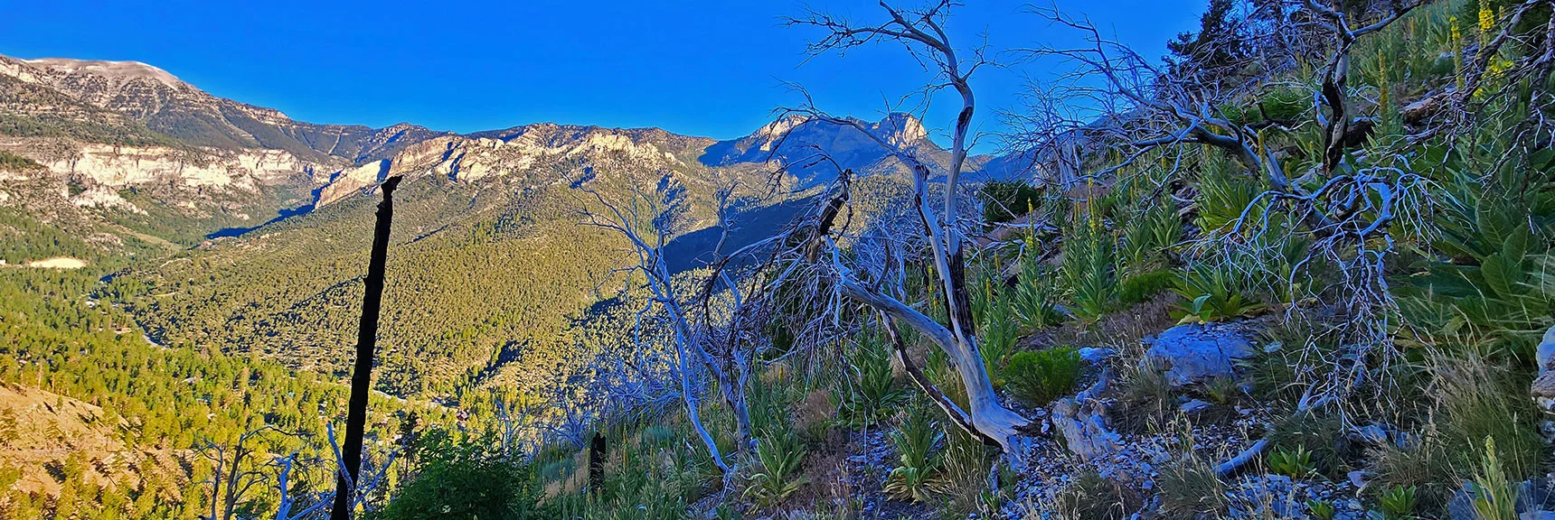Prior Image: Angling Down Toward Rainbow Subdivision and Rainbow Ridge Road. | Harris Mountain Triangle | Mt Charleston Wilderness, Nevada