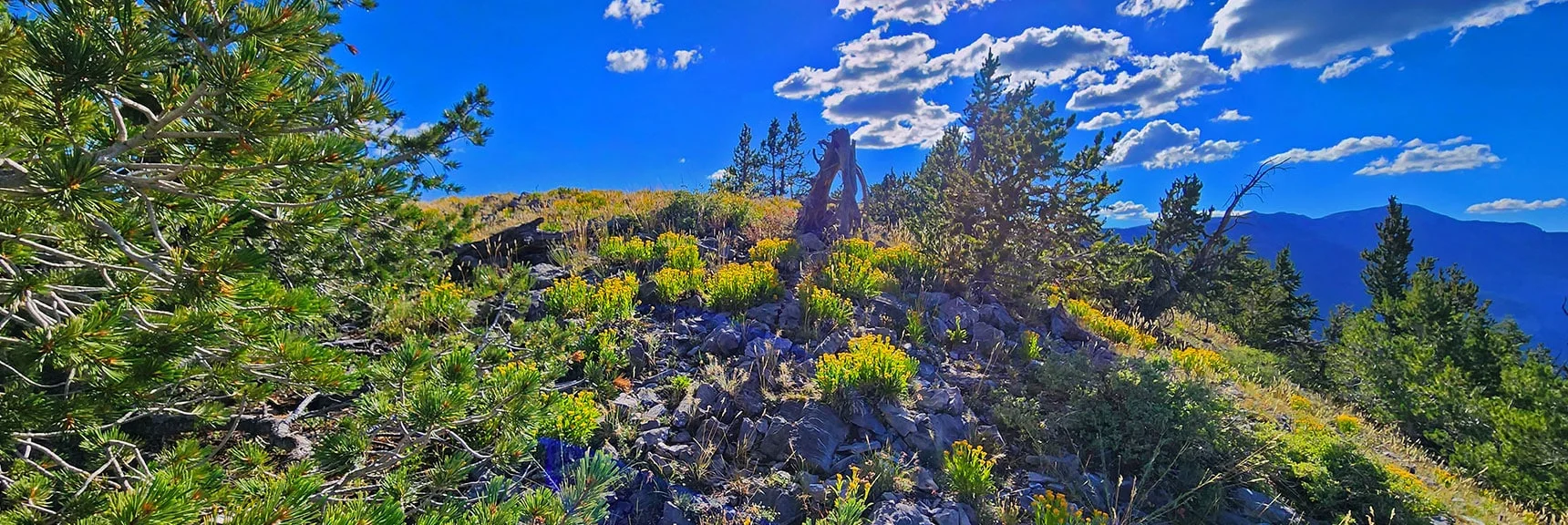 Arrival on Harris Mt. True Summit | Harris Mountain Triangle | Mt Charleston Wilderness, Nevada