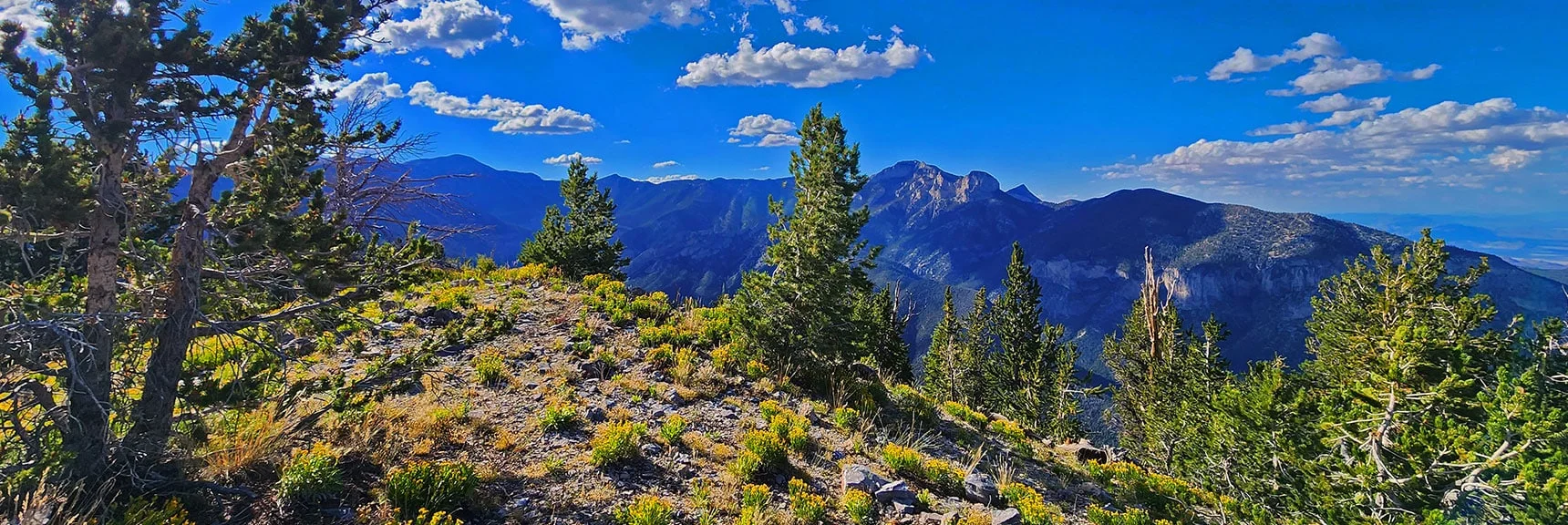 Ridge from Mummy Mt. to Charleston Peak Viewed from Harris Mt. Summit | Harris Mountain Triangle | Mt Charleston Wilderness, Nevada