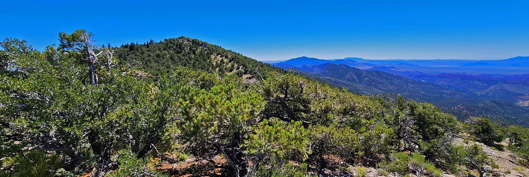 Next Ridge Ahead. Left Turn to La Madre Mountains. Will Descend Right to Lovell Canyon Below. | Wilson Ridge Lower Loop | Lovell Canyon, Nevada