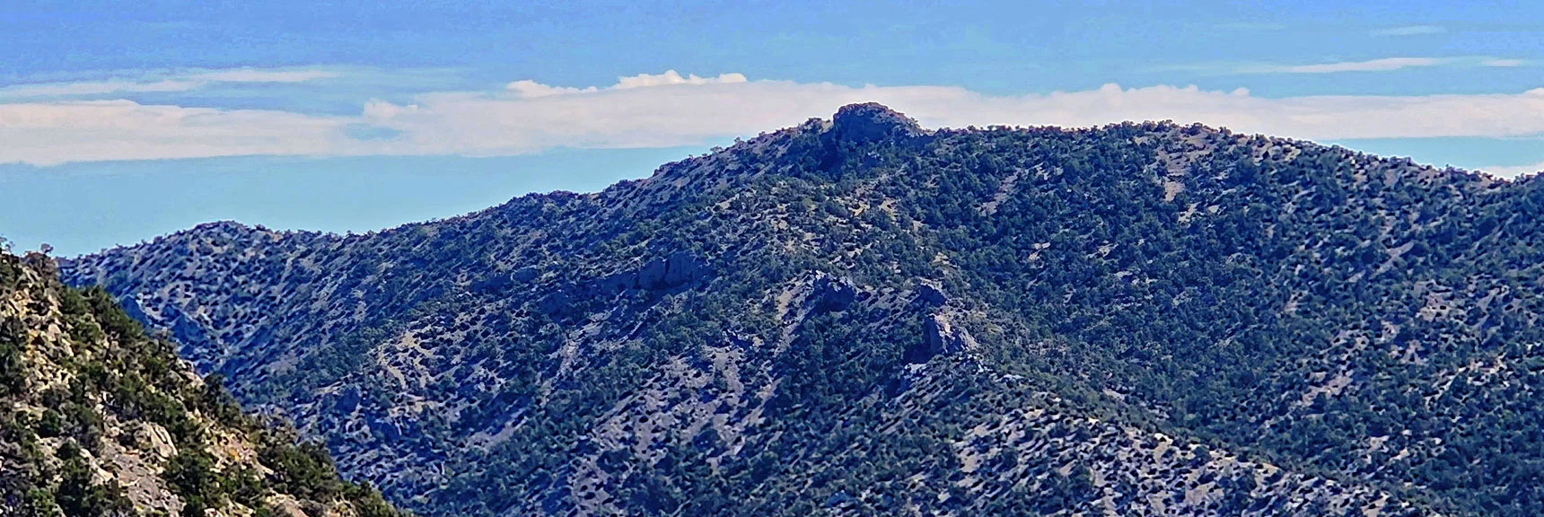 North Peak High Point on This Stretch of Rainbow Mts. Upper Crest Ridgeline. | Red Rock Summit | Lovell Canyon & Rainbow Mountain Wilderness, Nevada