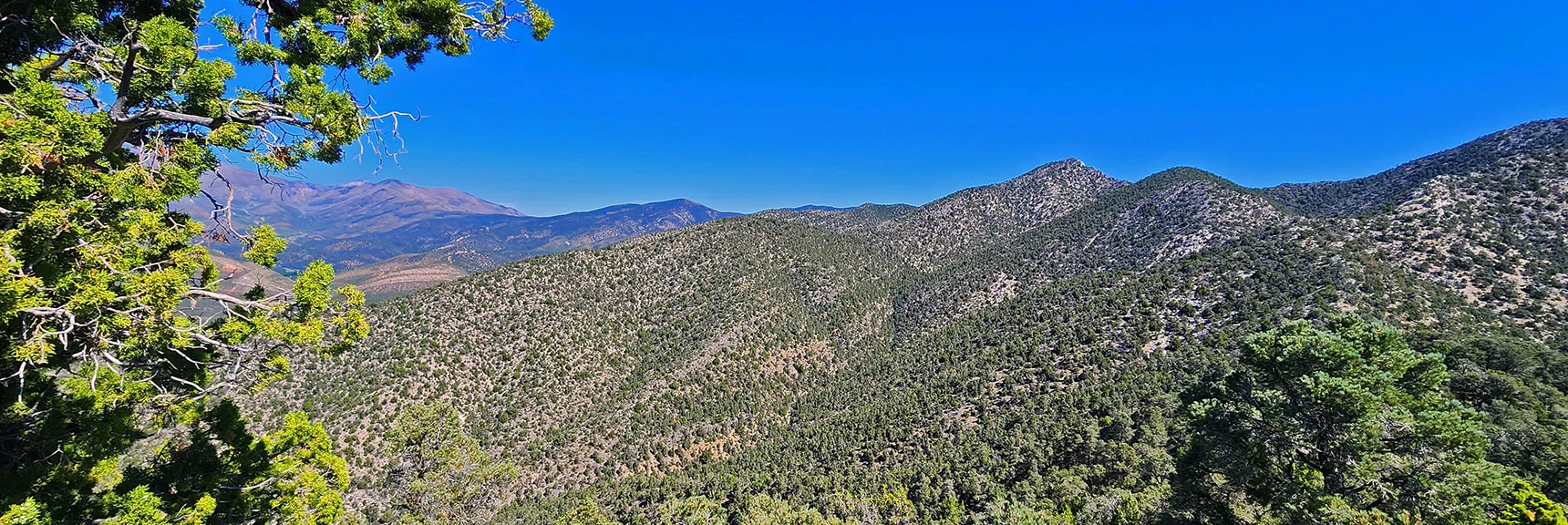 Higher View of Wilson Ridge Stretching North from the Rocky Gap Road Area. | Red Rock Summit | Lovell Canyon & Rainbow Mountain Wilderness, Nevada