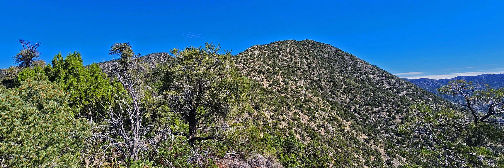 Approaching the Final High Point Before the Wilson Ridgeline. | Red Rock Summit | Lovell Canyon & Rainbow Mountain Wilderness, Nevada