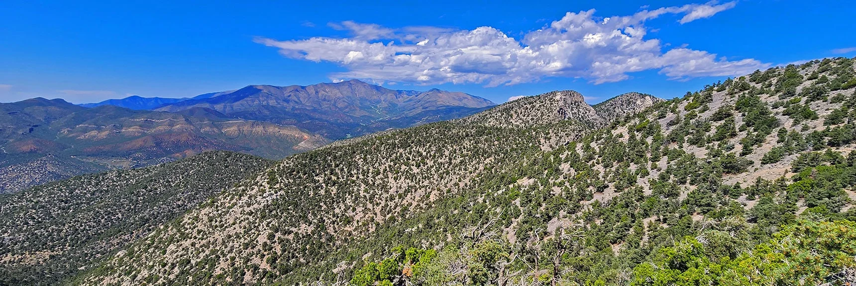 View North Across Wilson Ridge To Upper Lovell Canyon | Red Rock Summit | Lovell Canyon & Rainbow Mountain Wilderness, Nevada