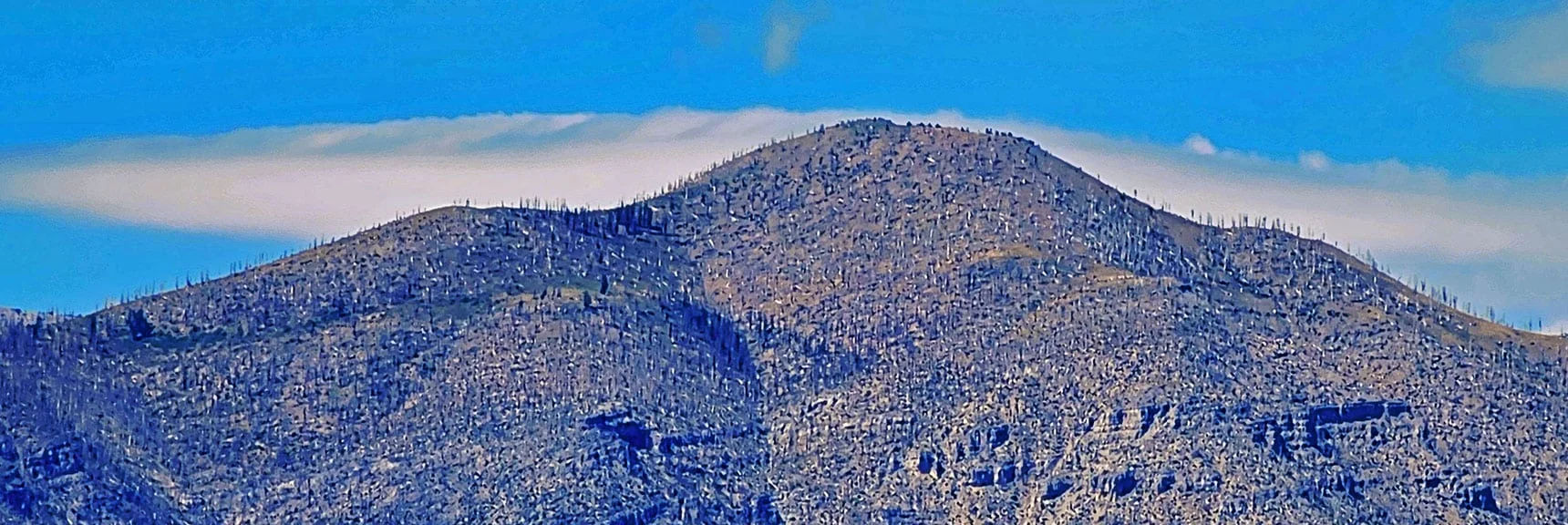 Zoom in on Griffith Peak from This Unique Perspective. Sexton Ridge Descending to Right; Saddle to Harris Mt (left). | Red Rock Summit | Lovell Canyon & Rainbow Mountain Wilderness, Nevada