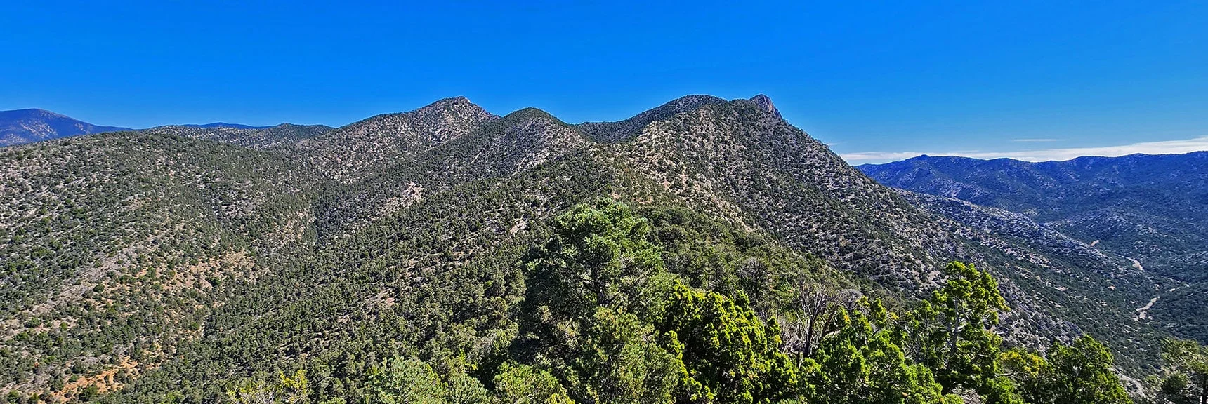 View Up Approach Ridge to Rocky Outcrop Above Bridge Mt. Trailhead, Then Along Wilson Ridge North | Red Rock Summit | Lovell Canyon & Rainbow Mountain Wilderness, Nevada