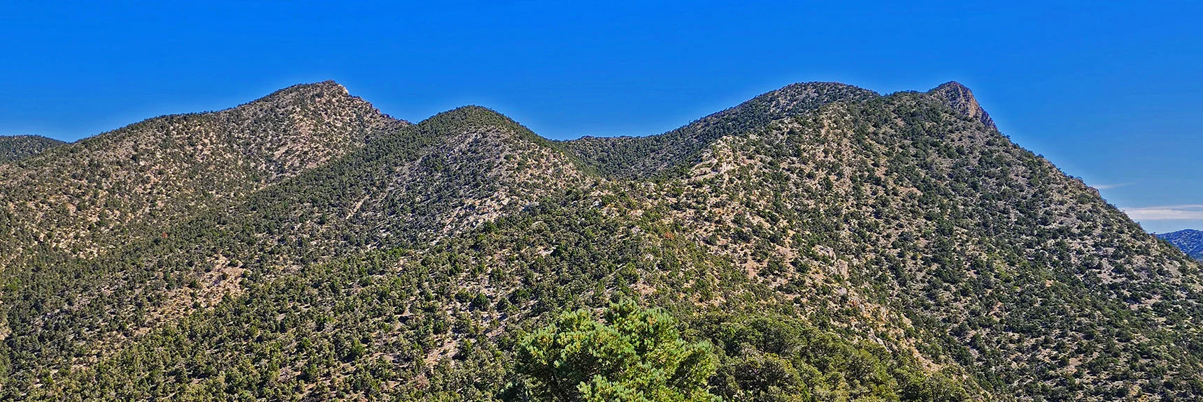 Rocky Outcrop Will Be Today's Goal. Red Rock Summit is Rounded Hill to the Left. | Red Rock Summit | Lovell Canyon & Rainbow Mountain Wilderness, Nevada