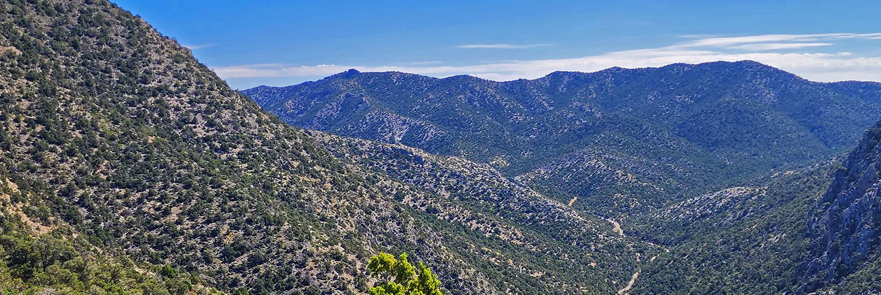 View Down Rocky Gap Road Toward the Rainbow Mts. Upper Crest Ridgeline (horizon) | Red Rock Summit | Lovell Canyon & Rainbow Mountain Wilderness, Nevada