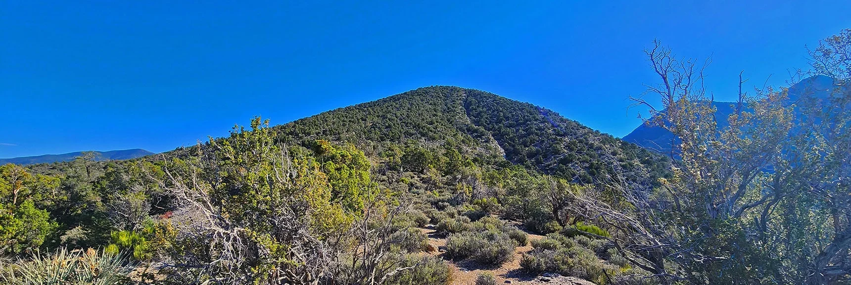 Ascending a Series of High Points on Approach Ridge. This is the First. | Red Rock Summit | Lovell Canyon & Rainbow Mountain Wilderness, Nevada