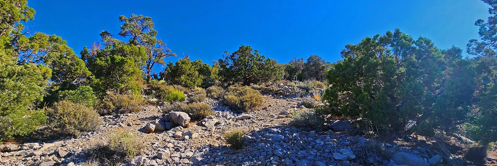 A Way Through the Boulders and Brush Always Opens Up Ahead | Red Rock Summit | Lovell Canyon & Rainbow Mountain Wilderness, Nevada