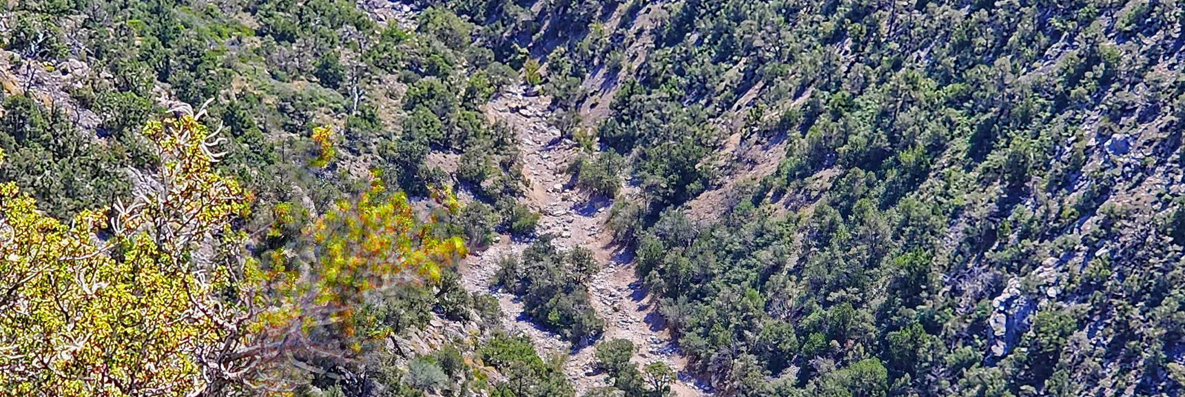 This Rocky Stretch from Hell is a Big Part of the Reason for Naming This "Rocky Gap Road". | Red Rock Summit | Lovell Canyon & Rainbow Mountain Wilderness, Nevada