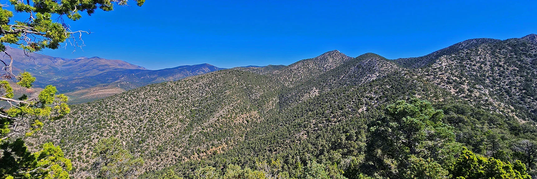 Wilson Ridge Stretching North Toward the Southern High Point. | Red Rock Summit | Lovell Canyon & Rainbow Mountain Wilderness, Nevada