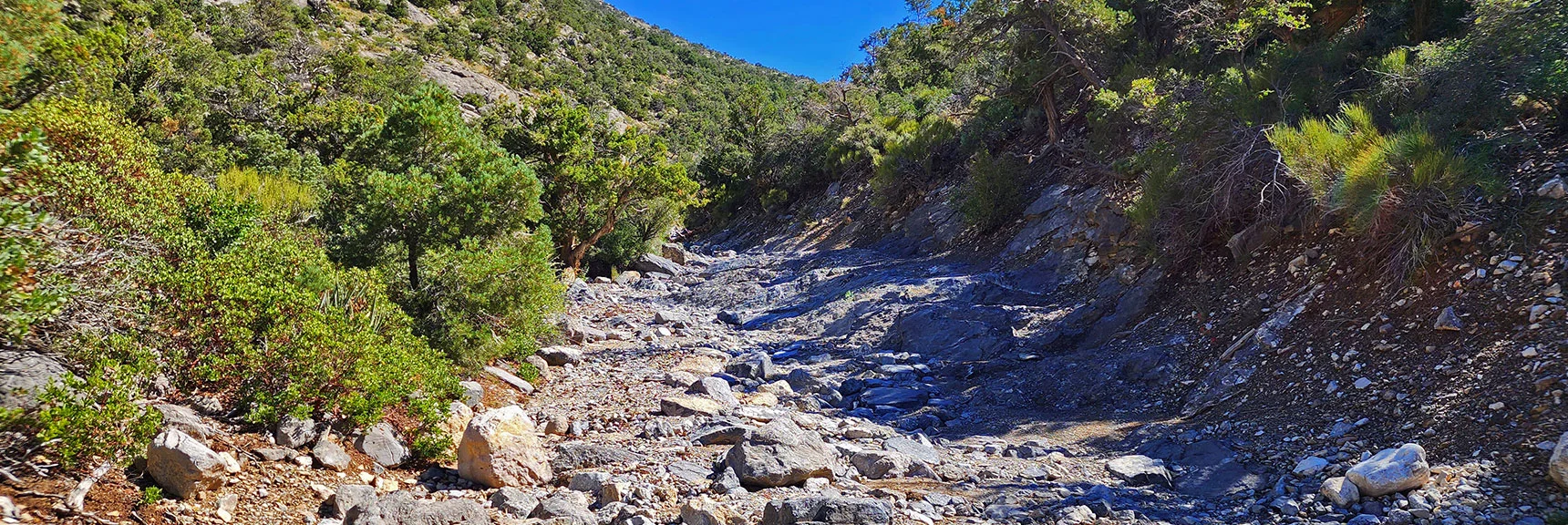 This Challenging Road is the Key Connection Point for 3 Major Ridge Systems | Rocky Gap Rd to Bridge Mt Trailhead | Lovell Canyon, Nevada