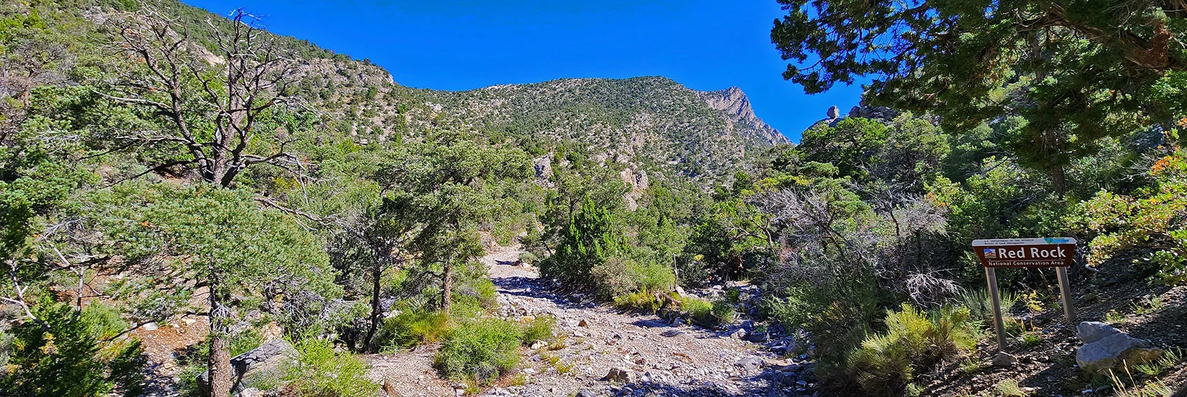 Continue Ascent Toward Red Rock Summit. Entering Red Rock Canyon. | Rocky Gap Rd to Bridge Mt Trailhead | Lovell Canyon, Nevada