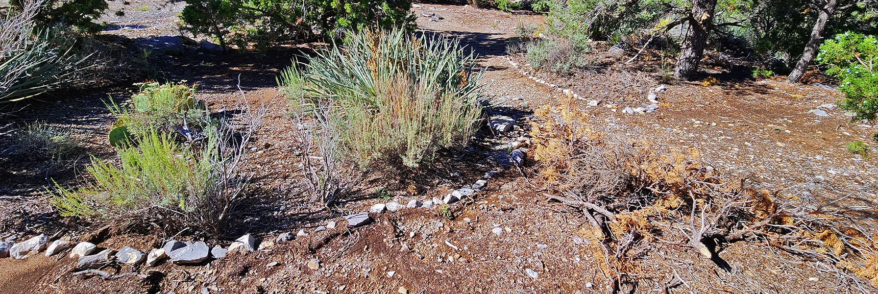 Here's a Camping Spot with Art Work. Camp Here, Climb Bridge Mountain Tomorrow. | Rocky Gap Rd to Bridge Mt Trailhead | Lovell Canyon, Nevada