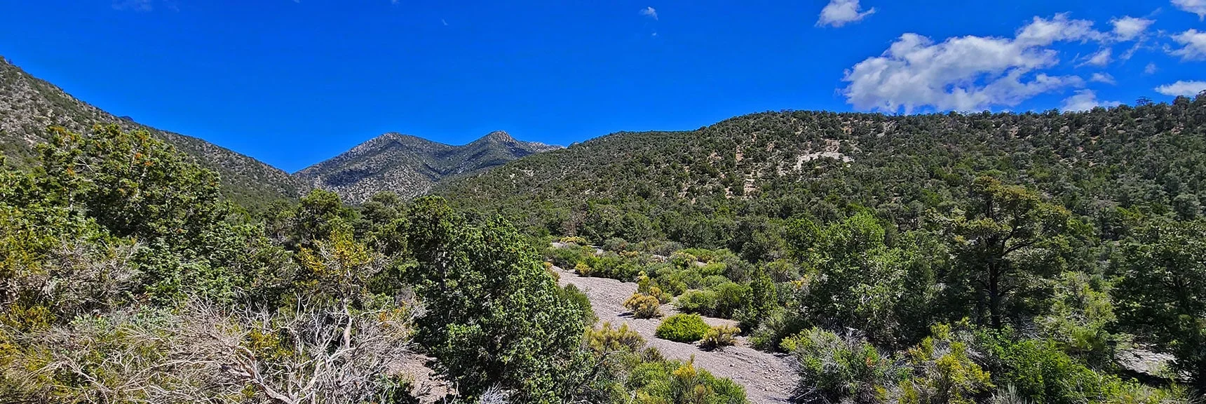 Approach Ridge for Connecting with the Wilson Ridge Heading South | Rocky Gap Rd to Bridge Mt Trailhead | Lovell Canyon, Nevada