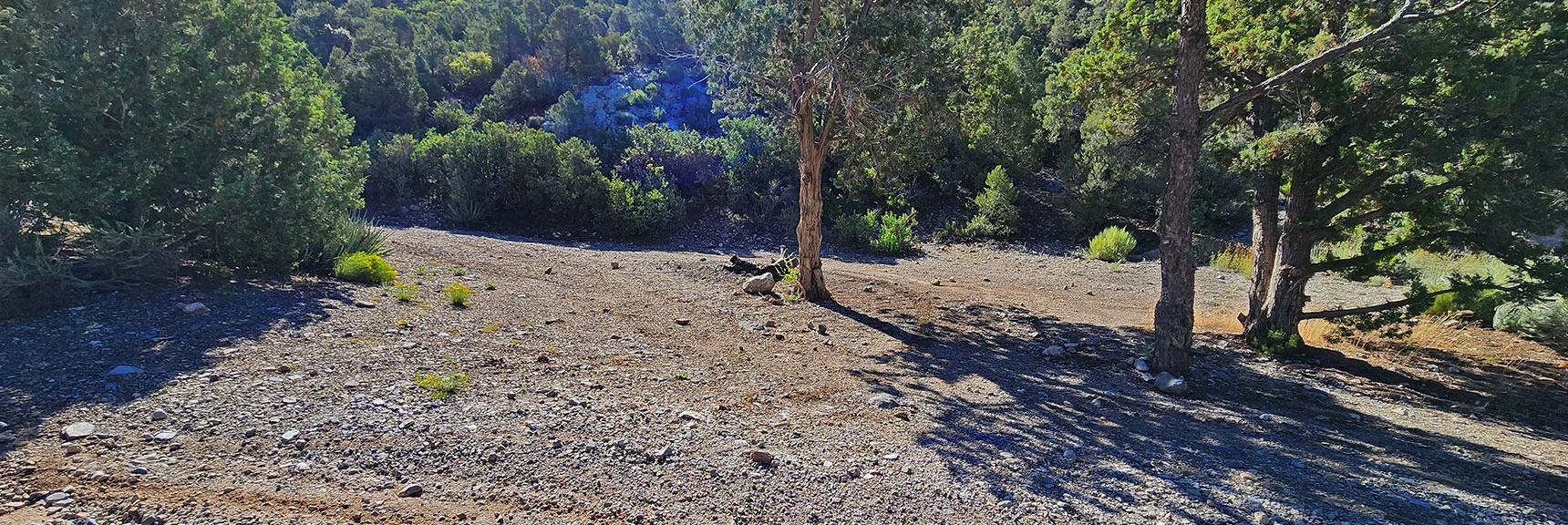 Many Great Camping Spots Scattered Along Rocky Gap Road | Rocky Gap Rd to Bridge Mt Trailhead | Lovell Canyon, Nevada