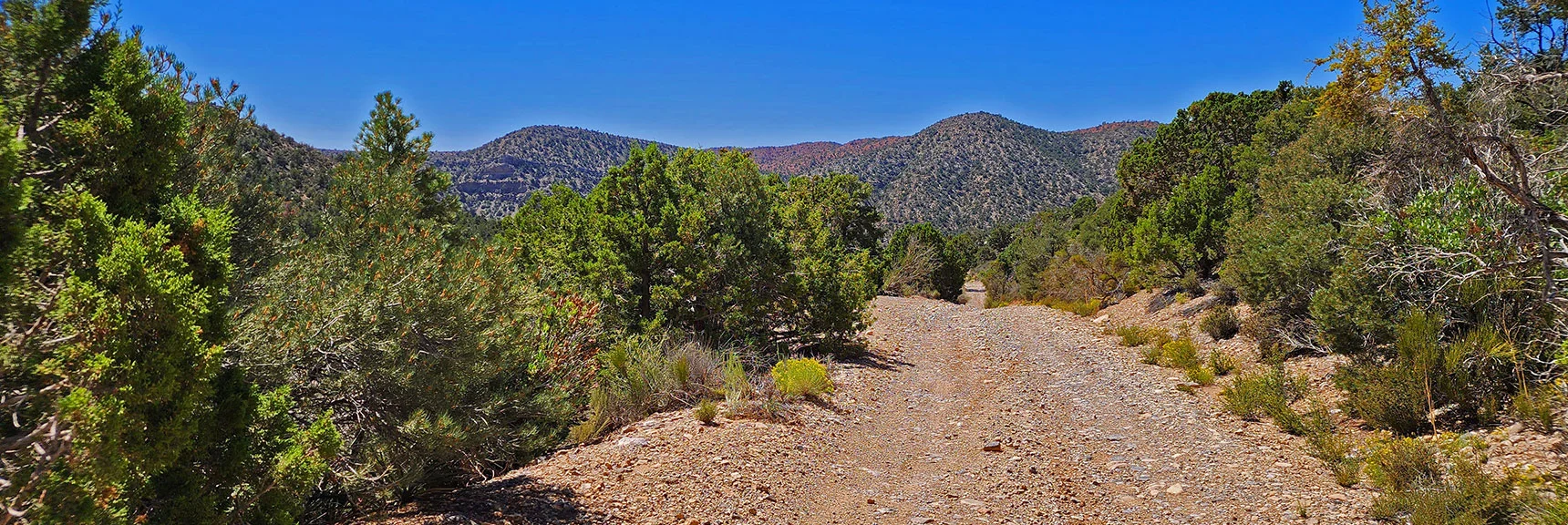 Closing in on Lovell Canyon Base. Hills Ahead Are on Opposite Side of Lovell Canyon. | Rocky Gap Rd to Bridge Mt Trailhead | Lovell Canyon, Nevada