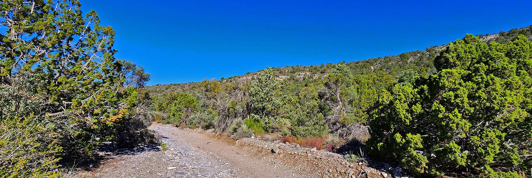 Beginning of Northern Gradual Northern Approach Ridge, Lower Rocky Gap Rd. | Lovell Canyon, Nevada