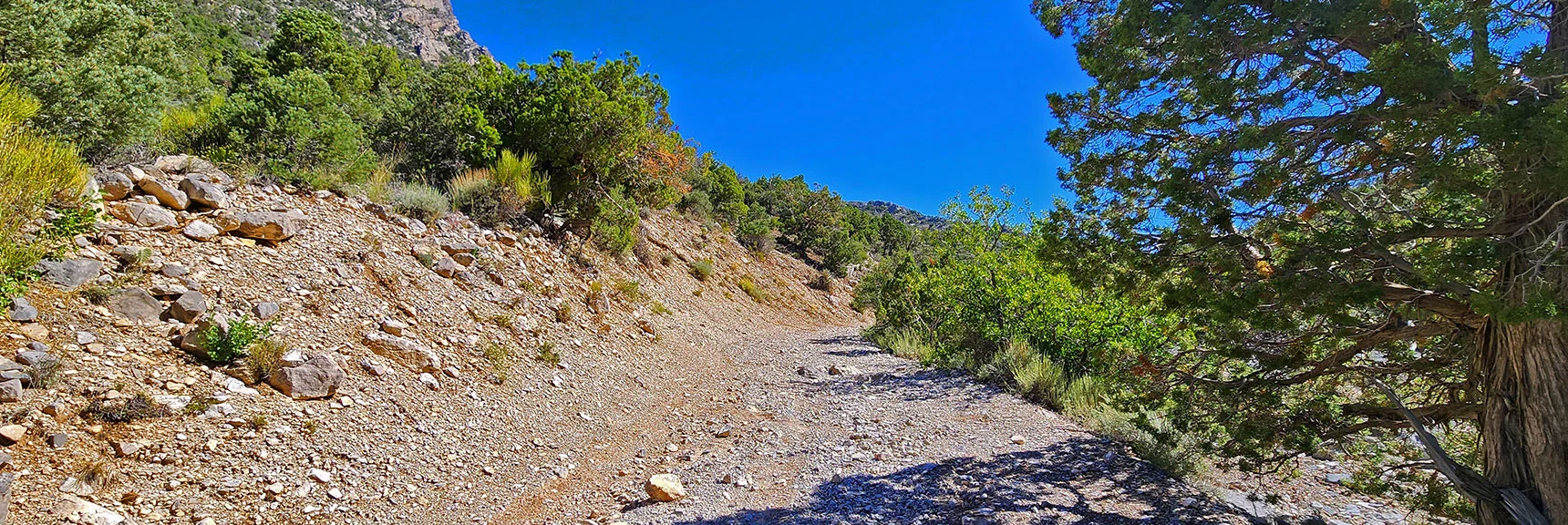 Rocky Gap Road Continues Above the Rocky "Stretch from Hell" | Rocky Gap Rd to Bridge Mt Trailhead | Lovell Canyon, Nevada