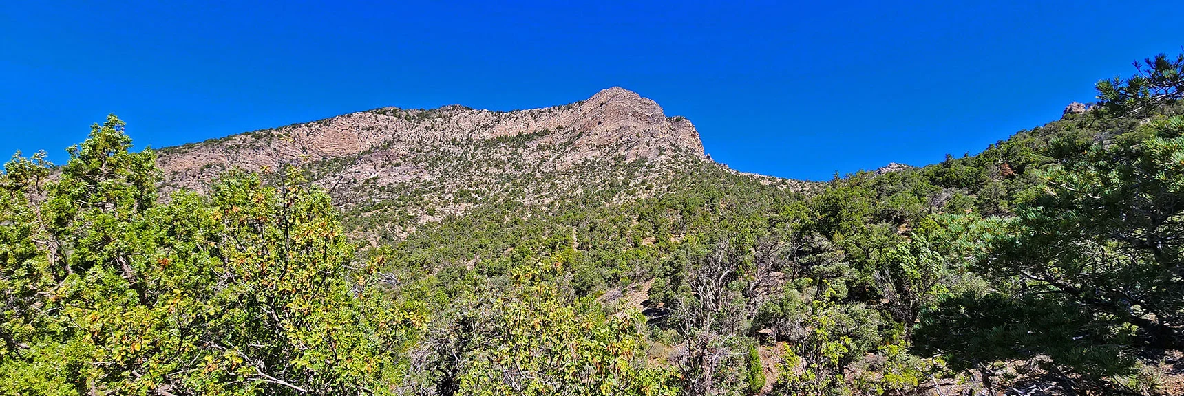 Closing in on Red Rock Summit. Bridge Mt. Trailhead is Below to the Right. | Rocky Gap Rd to Bridge Mt Trailhead | Lovell Canyon, Nevada