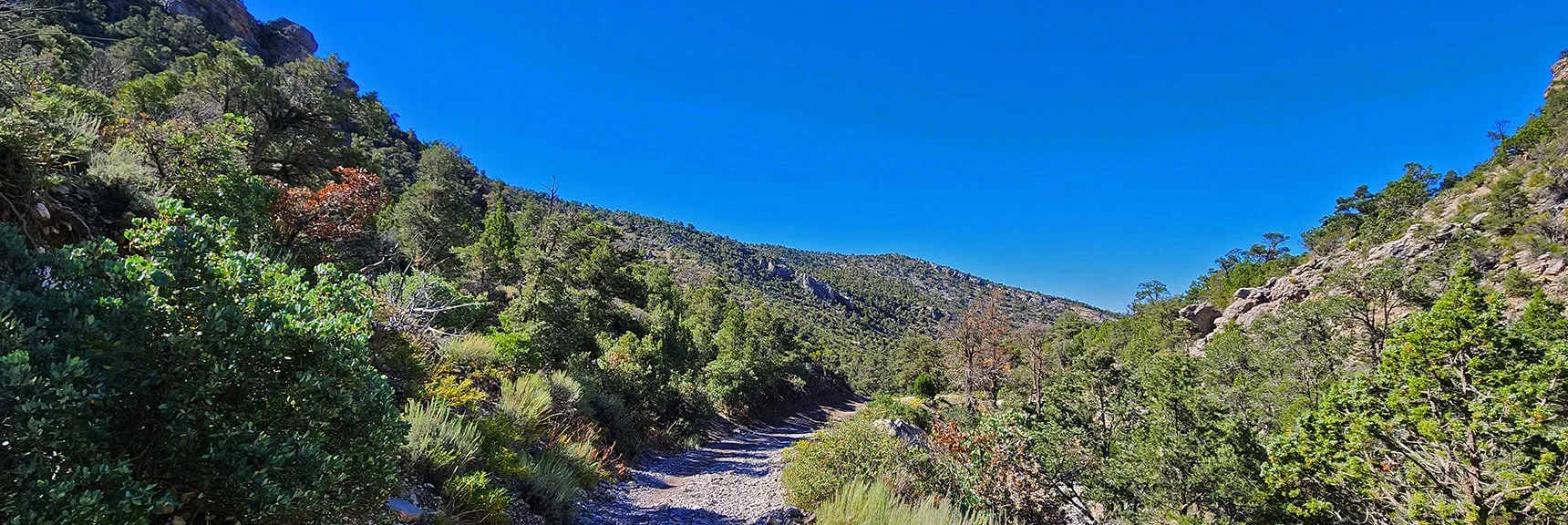 View Back Down Rocky Gap Road. Southern Approach Ridge on Left. | Rocky Gap Rd to Bridge Mt Trailhead | Lovell Canyon, Nevada