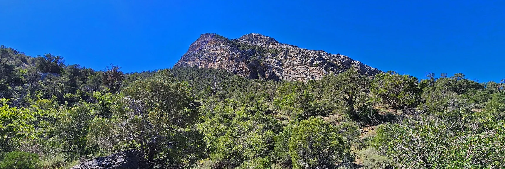 Probably Best to Navigate the Southern Stretch of Wilson Ridge Behind Its Cliffs. | Rocky Gap Rd to Bridge Mt Trailhead | Lovell Canyon, Nevada