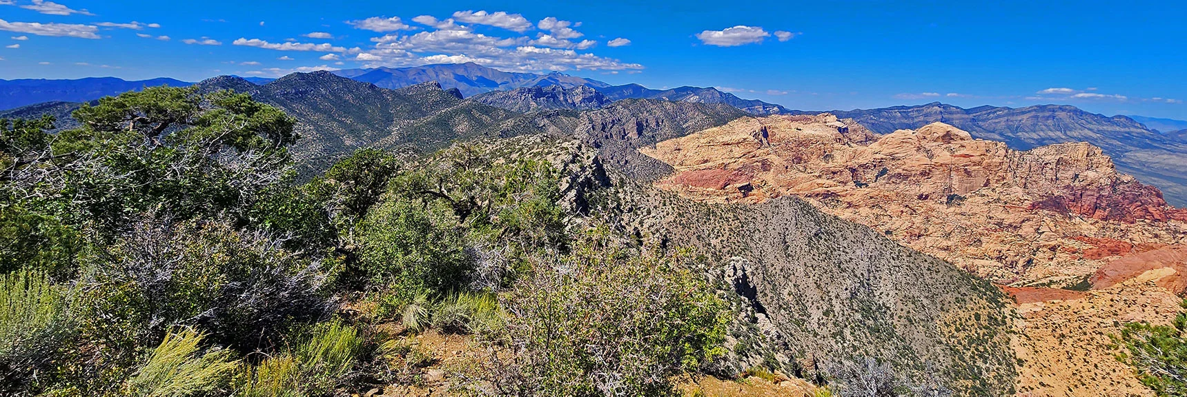 View North to Bridge Mt., Buffalo Wall Plateau, Mt. Charleston & La Madre Mts. Wilderness. | Mt Wilson to Juniper Peak | Rainbow Mountains Upper Crest Ridgeline | Rainbow Mountain Wilderness, Nevada