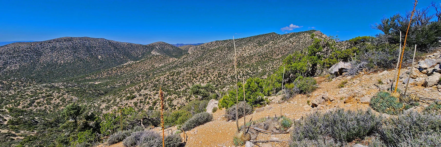 Note Two Ridgelines: Wilson Ridgeline (left); Rainbow Mts. Ridgeline (right) | Mt Wilson to Juniper Peak | Rainbow Mountains Upper Crest Ridgeline | Rainbow Mountain Wilderness, Nevada