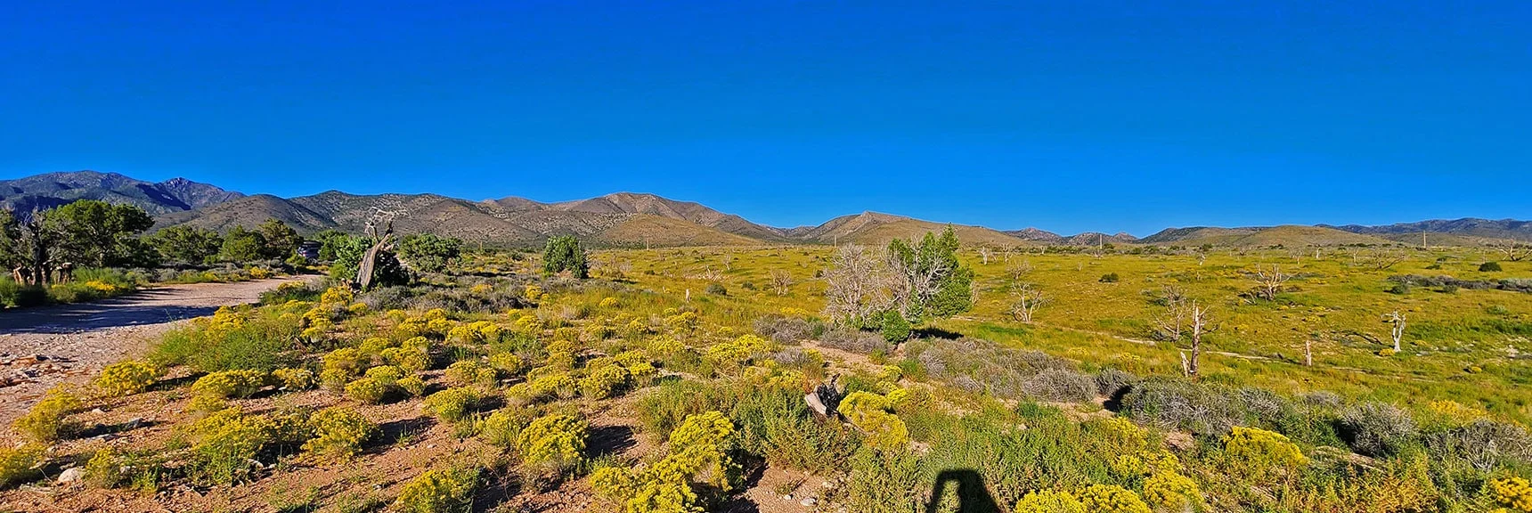 Lovell Canyon View from Lower Saltgrass Road in Perfect Evening Lighting. | Mt Wilson to Juniper Peak | Rainbow Mountains Upper Crest Ridgeline | Rainbow Mountain Wilderness, Nevada