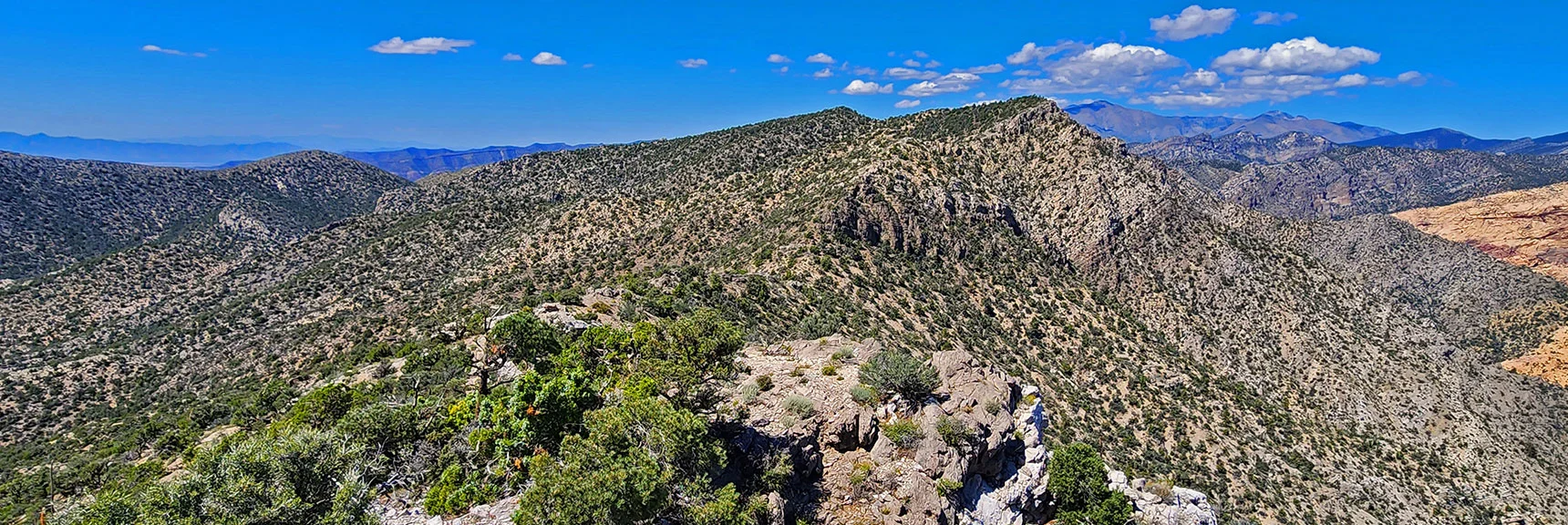 View North on Ridgeline to Next High Points Above Rainbow Mt. & Juniper Peak | Mt Wilson to Juniper Peak | Rainbow Mountains Upper Crest Ridgeline | Rainbow Mountain Wilderness, Nevada