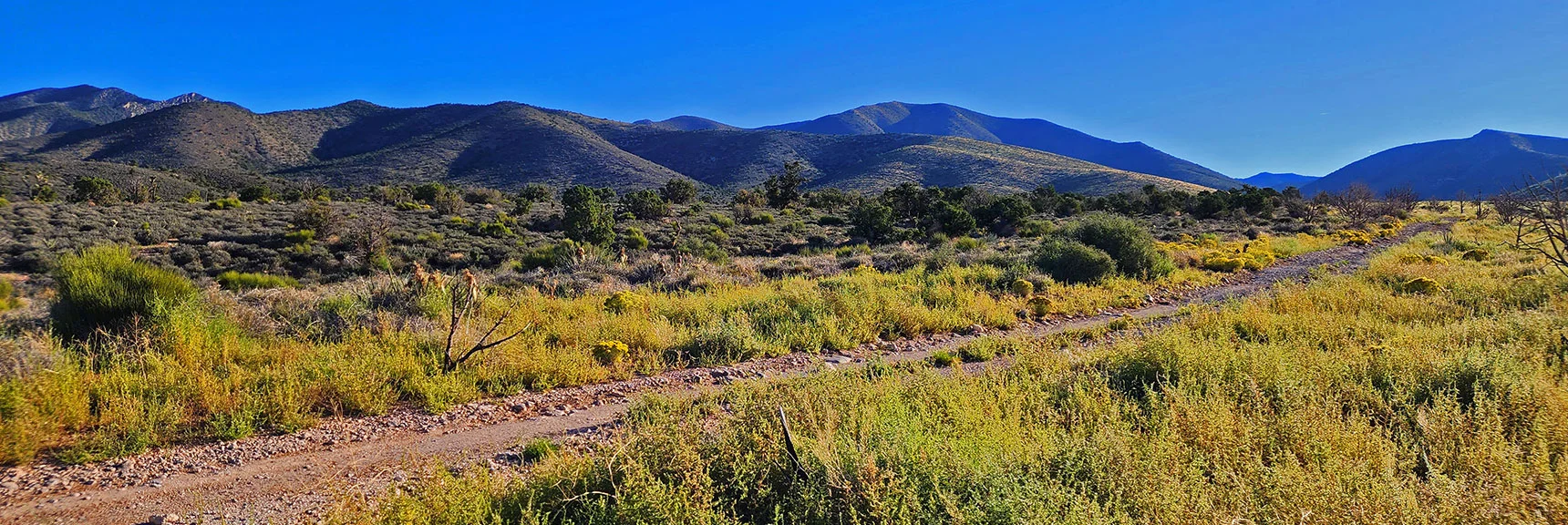 Heading Up Saltgrass Road Toward Gap in Wilson Ridge. | Mt Wilson to Juniper Peak | Rainbow Mountains Upper Crest Ridgeline | Rainbow Mountain Wilderness, Nevada