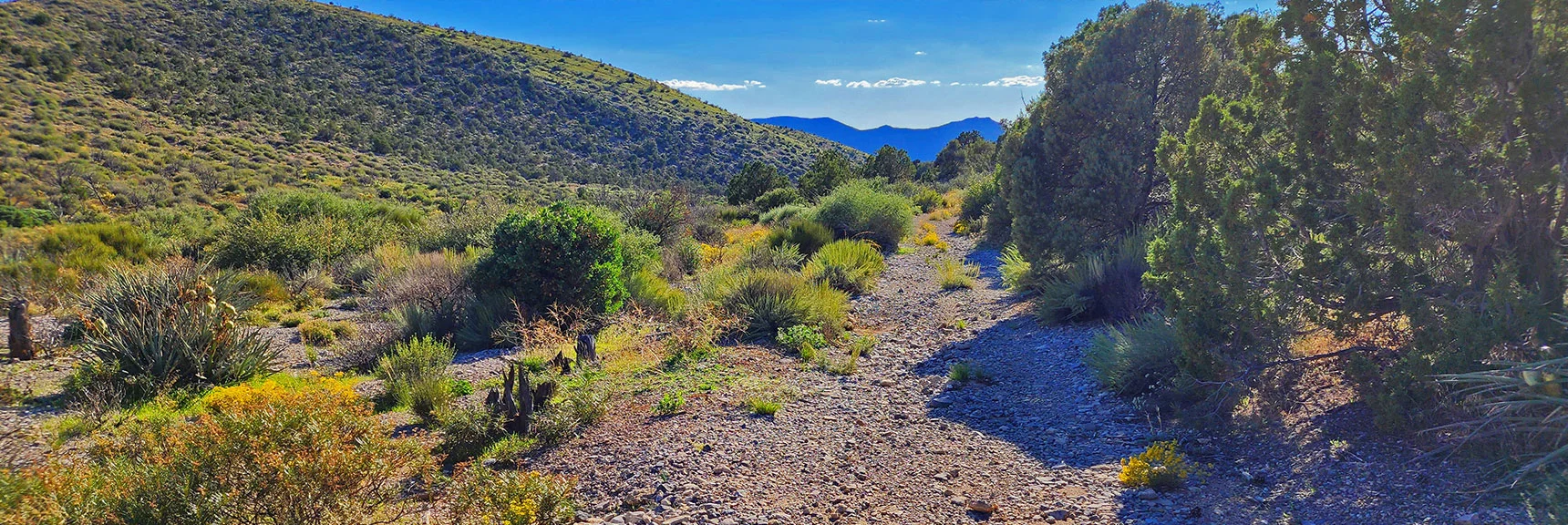 Back on Upper Saltgrass Road. View Through Gap to Lovell Canyon. | Mt Wilson to Juniper Peak | Rainbow Mountains Upper Crest Ridgeline | Rainbow Mountain Wilderness, Nevada