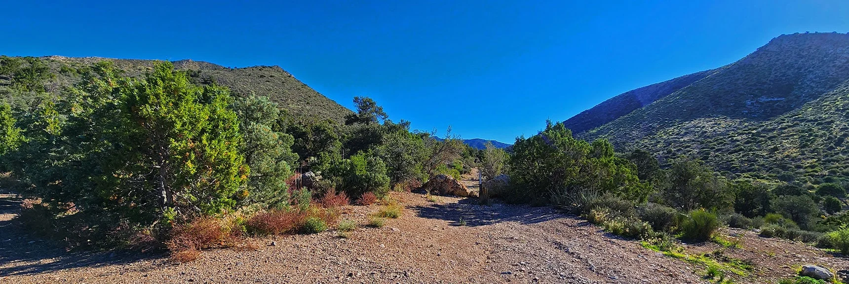 Arrival at Upper End of Saltgrass Road. Trail Through Gap Begins Here. | Mt Wilson to Juniper Peak | Rainbow Mountains Upper Crest Ridgeline | Rainbow Mountain Wilderness, Nevada
