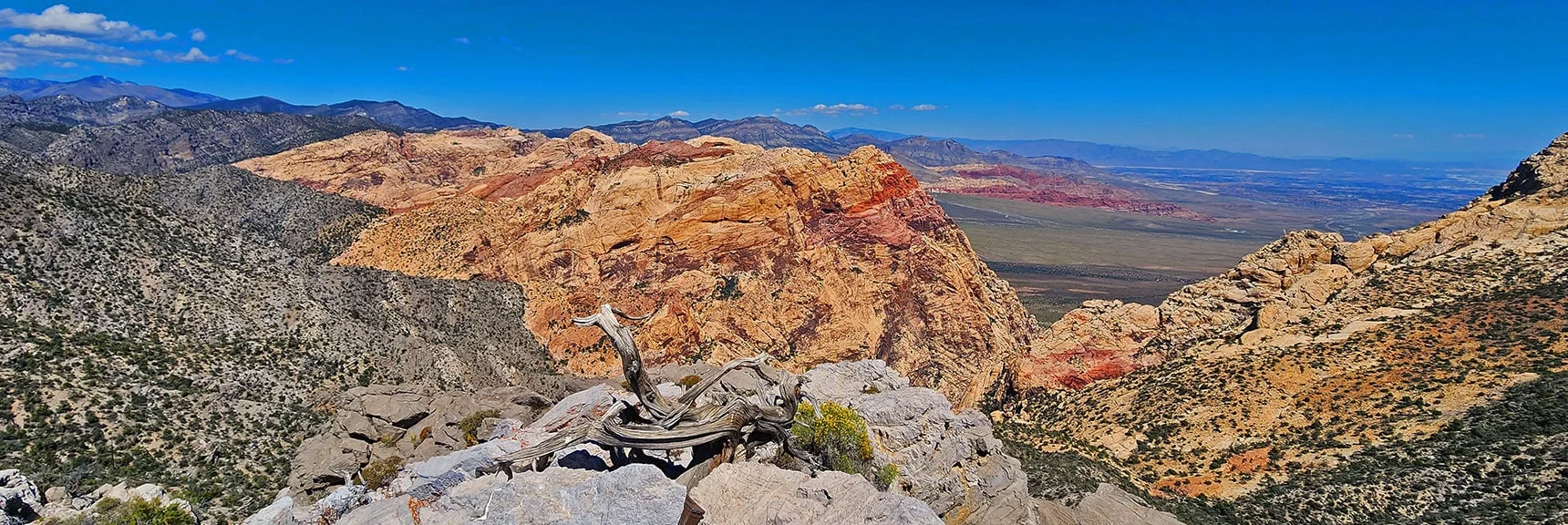 Distinct Line Between Sandstone and Darker Ground Material is Famous Keystone Thrust Faultline. | Mt Wilson to Juniper Peak | Rainbow Mountains Upper Crest Ridgeline | Rainbow Mountain Wilderness, Nevada