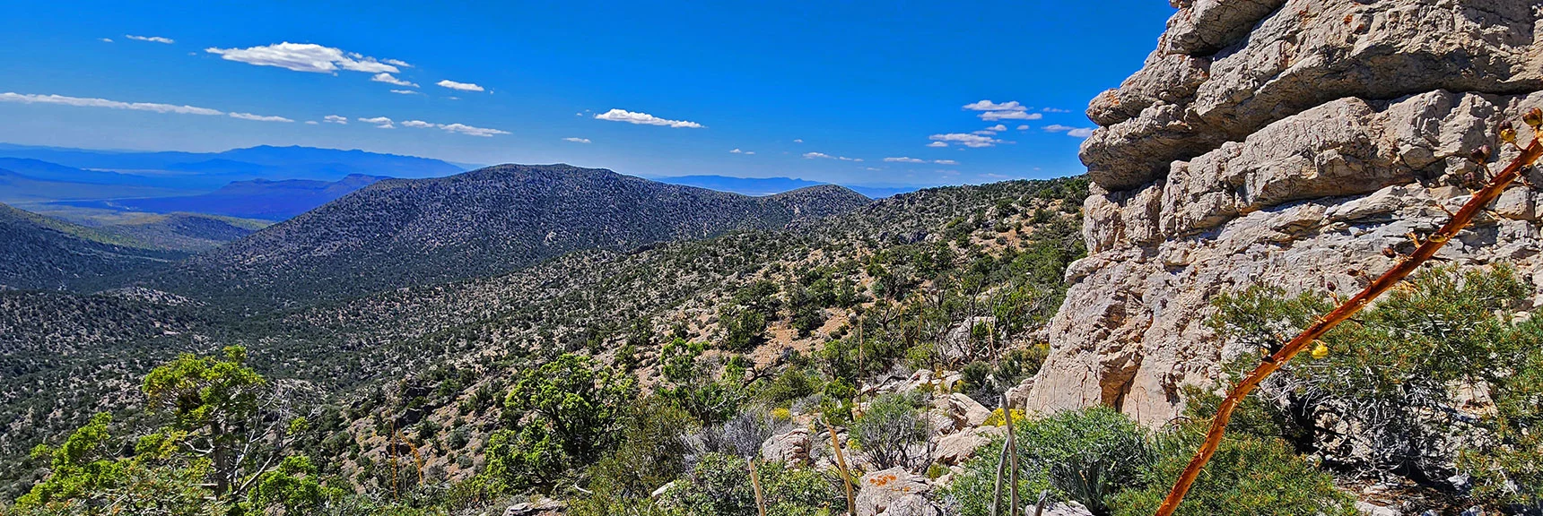 View Back to Wilson Ridge and Landmark Bluff from a Ridgeline High Point. | Mt Wilson to Juniper Peak | Rainbow Mountains Upper Crest Ridgeline | Rainbow Mountain Wilderness, Nevada