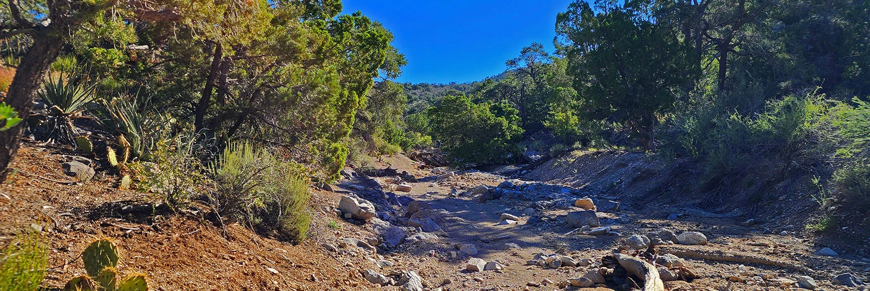 Can Take This Wash Through Gap, But Better if You Find Trail Above to Left. | Mt Wilson to Juniper Peak | Rainbow Mountains Upper Crest Ridgeline | Rainbow Mountain Wilderness, Nevada